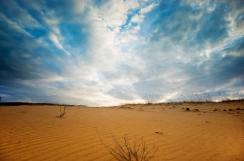 arid-daylight-desert-362957.jpg